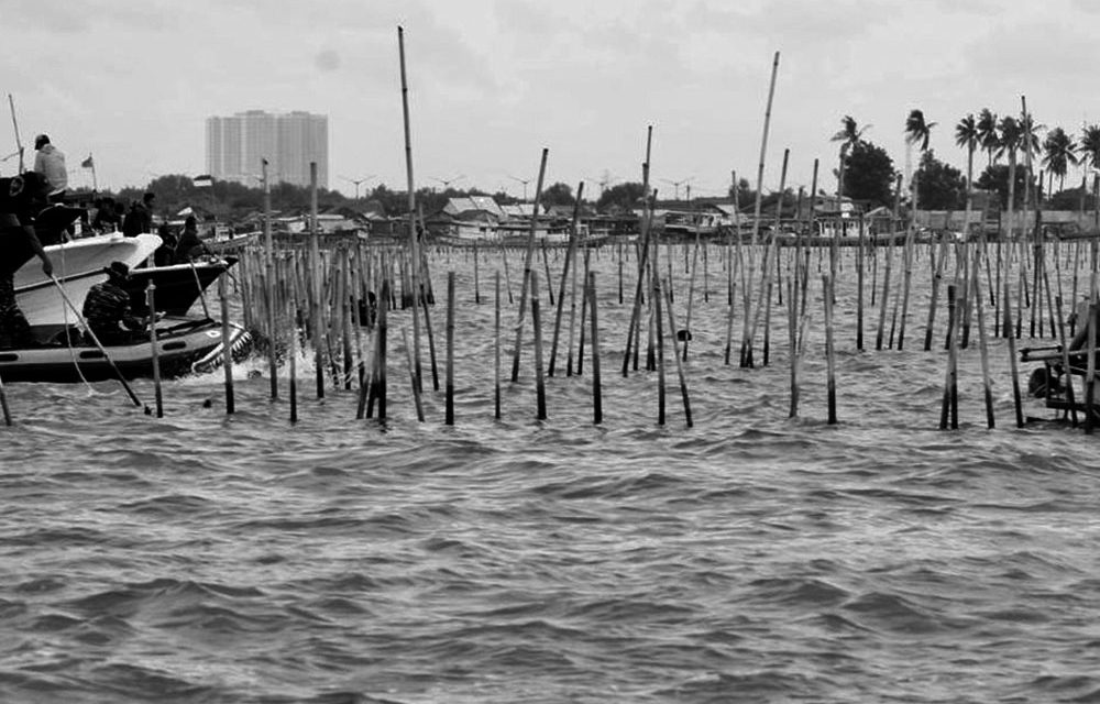 Updates on the Illegal Sea Fence