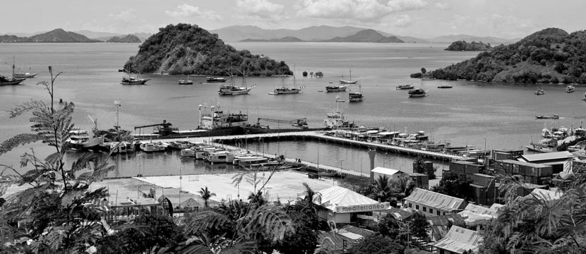 Emerging Tourism Destinations: Labuan Bajo